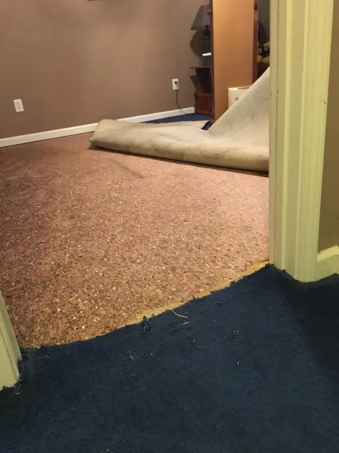 Carpet pad removal revealing water damage during Drying & Dehumidification in Northborough