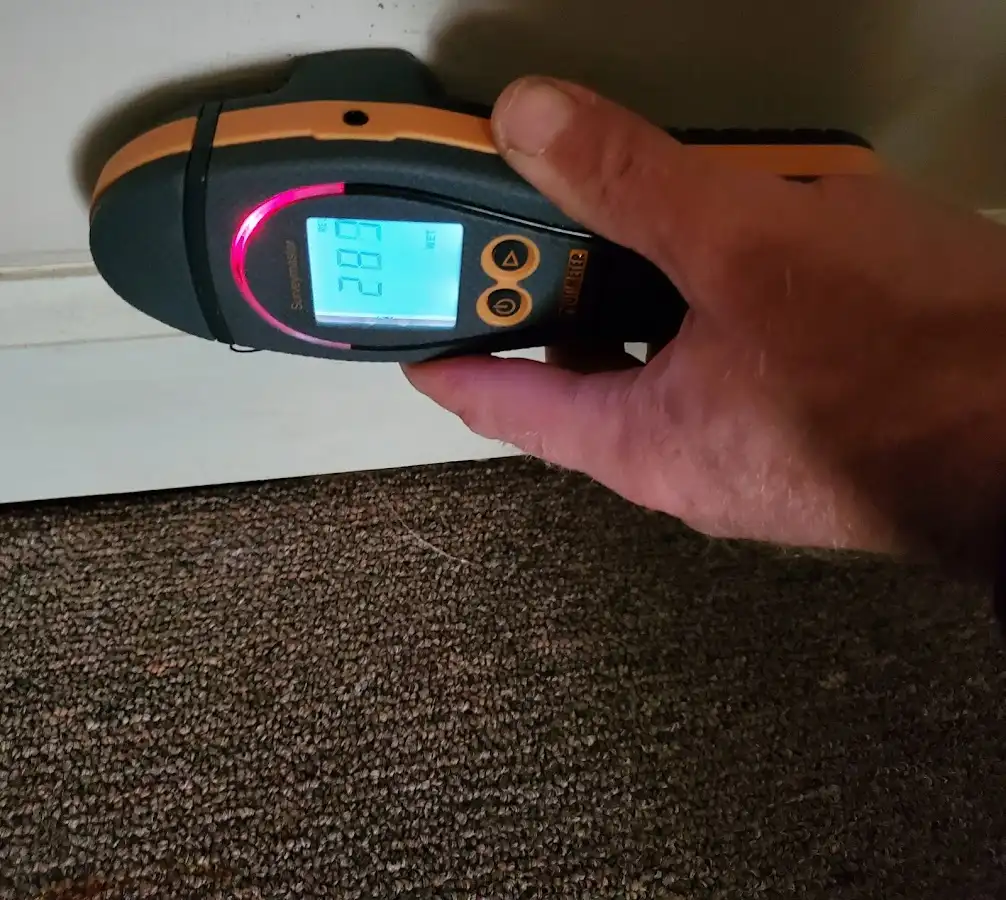 Moisture detection at baseboard during Sewage Cleanup & Sanitation in Northborough